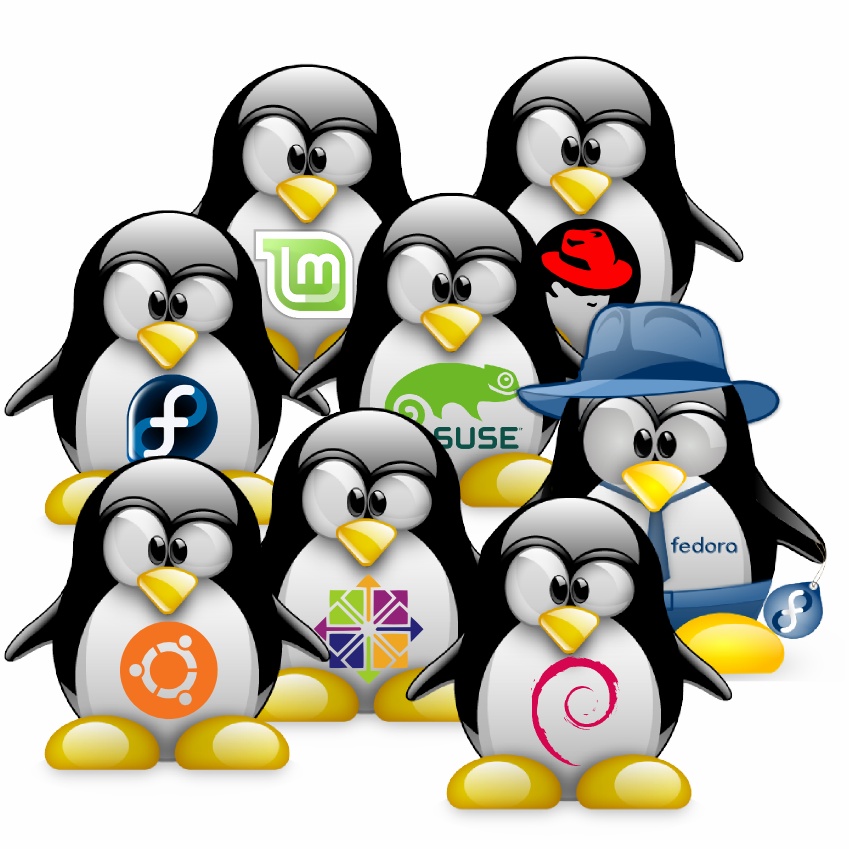 Le distribuzioni di Linux distribuzioni Linux